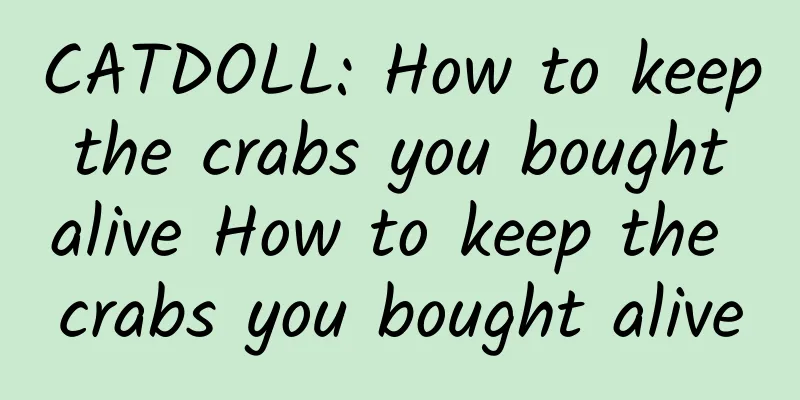CATDOLL: How to keep the crabs you bought alive How to keep the crabs you bought alive