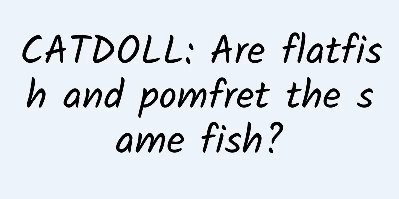 CATDOLL: Are flatfish and pomfret the same fish?
