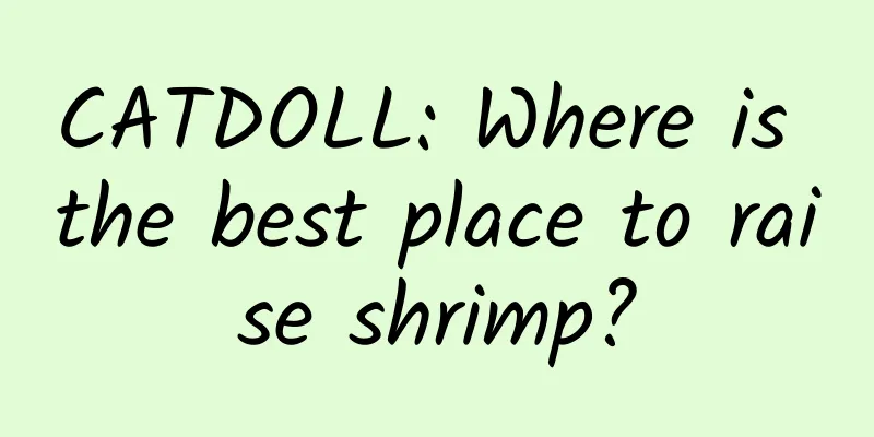CATDOLL: Where is the best place to raise shrimp?
