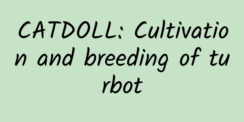 CATDOLL: Cultivation and breeding of turbot