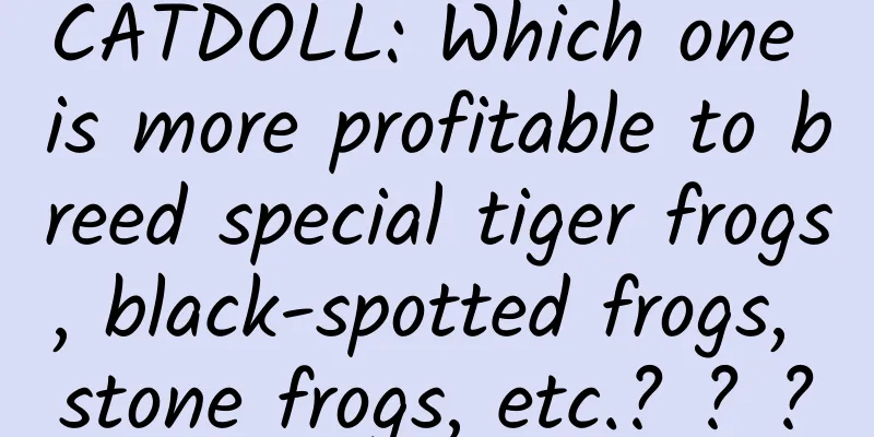 CATDOLL: Which one is more profitable to breed special tiger frogs, black-spotted frogs, stone frogs, etc.? ? ?