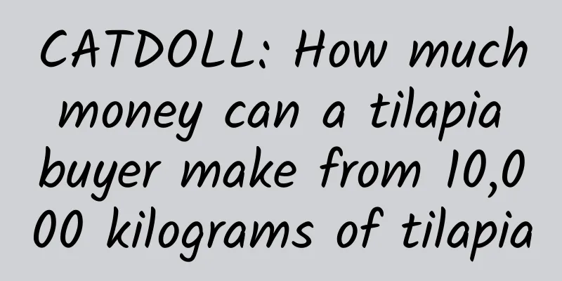CATDOLL: How much money can a tilapia buyer make from 10,000 kilograms of tilapia