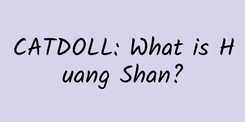 CATDOLL: What is Huang Shan?