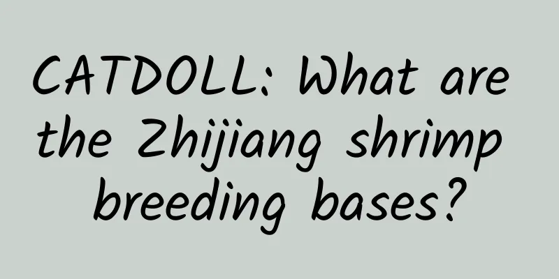 CATDOLL: What are the Zhijiang shrimp breeding bases?