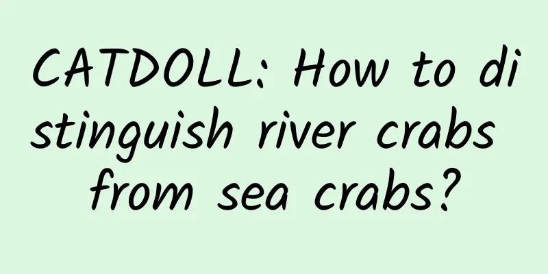 CATDOLL: How to distinguish river crabs from sea crabs?