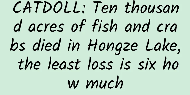 CATDOLL: Ten thousand acres of fish and crabs died in Hongze Lake, the least loss is six how much