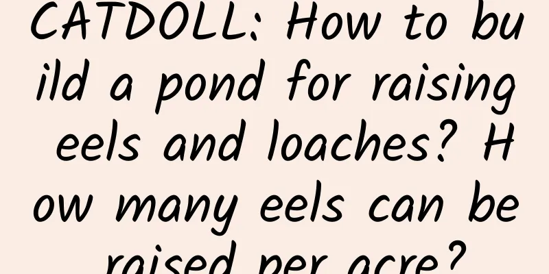 CATDOLL: How to build a pond for raising eels and loaches? How many eels can be raised per acre?