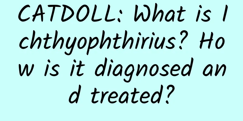 CATDOLL: What is Ichthyophthirius? How is it diagnosed and treated?