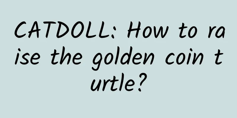CATDOLL: How to raise the golden coin turtle?