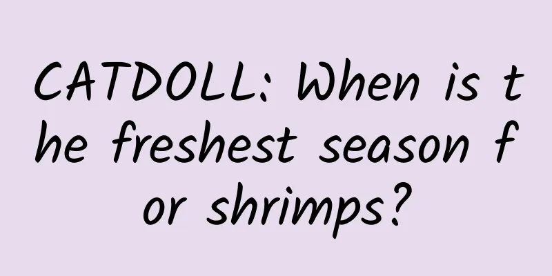 CATDOLL: When is the freshest season for shrimps?