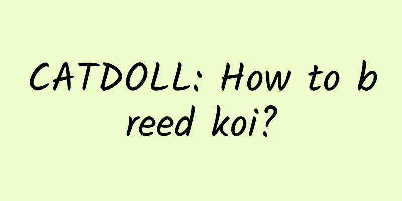 CATDOLL: How to breed koi?