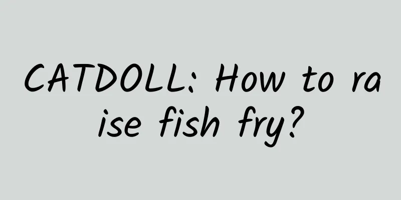 CATDOLL: How to raise fish fry?