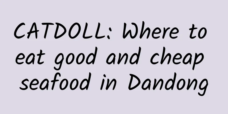 CATDOLL: Where to eat good and cheap seafood in Dandong