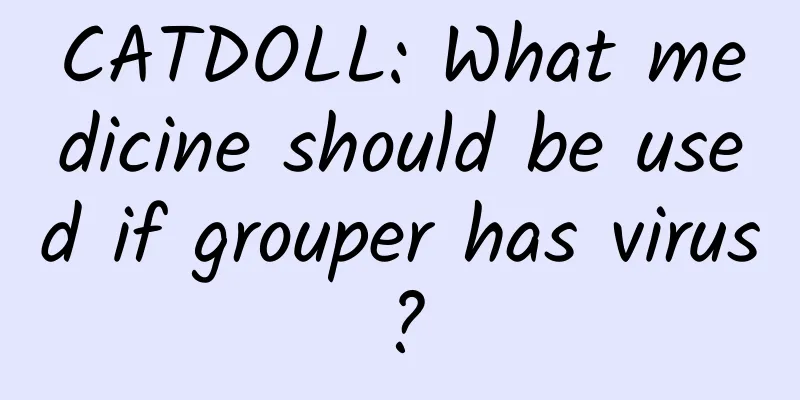 CATDOLL: What medicine should be used if grouper has virus?