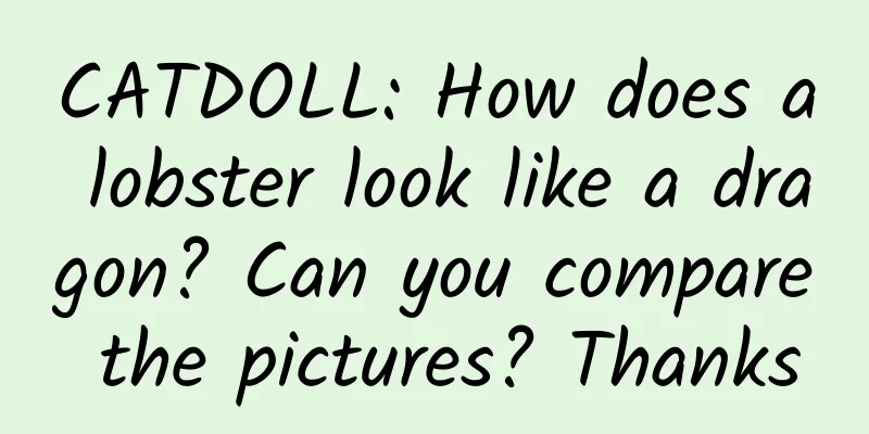 CATDOLL: How does a lobster look like a dragon? Can you compare the pictures? Thanks