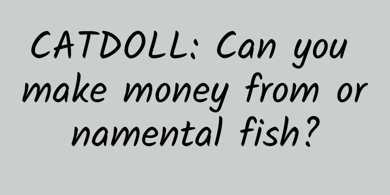 CATDOLL: Can you make money from ornamental fish?