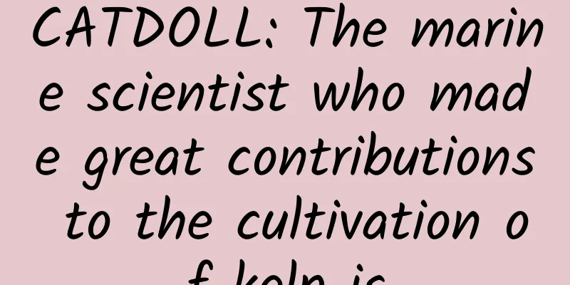 CATDOLL: The marine scientist who made great contributions to the cultivation of kelp is