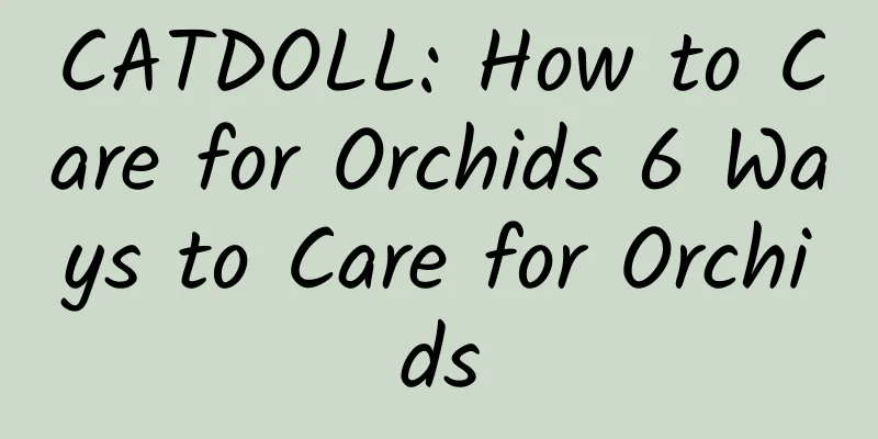 CATDOLL: How to Care for Orchids 6 Ways to Care for Orchids