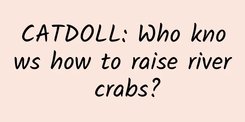 CATDOLL: Who knows how to raise river crabs?