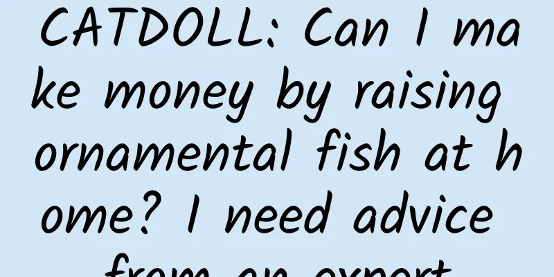 CATDOLL: Can I make money by raising ornamental fish at home? I need advice from an expert
