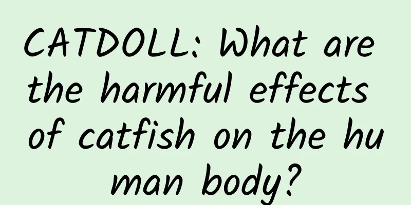 CATDOLL: What are the harmful effects of catfish on the human body?