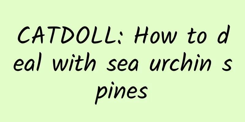 CATDOLL: How to deal with sea urchin spines