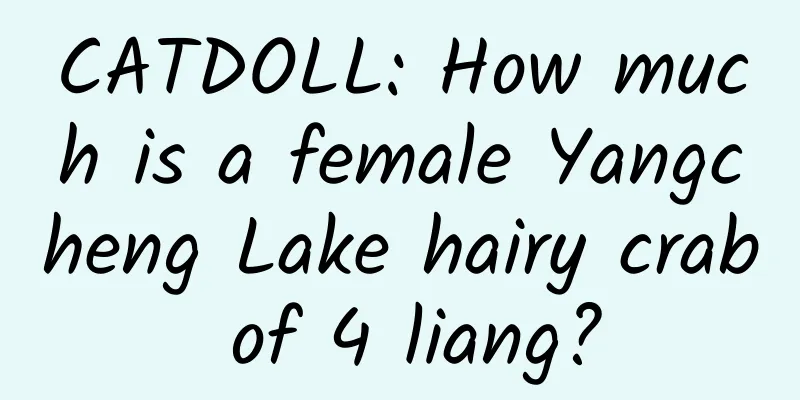 CATDOLL: How much is a female Yangcheng Lake hairy crab of 4 liang?