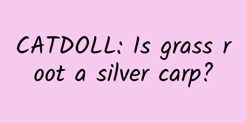 CATDOLL: Is grass root a silver carp?