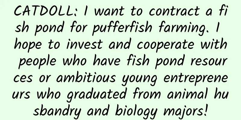 CATDOLL: I want to contract a fish pond for pufferfish farming. I hope to invest and cooperate with people who have fish pond resources or ambitious young entrepreneurs who graduated from animal husbandry and biology majors!