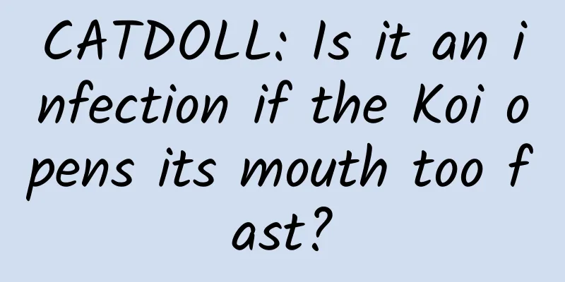 CATDOLL: Is it an infection if the Koi opens its mouth too fast?