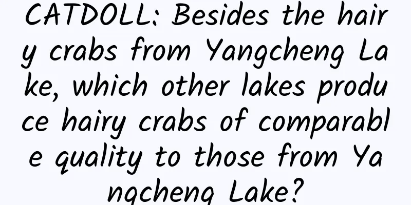 CATDOLL: Besides the hairy crabs from Yangcheng Lake, which other lakes produce hairy crabs of comparable quality to those from Yangcheng Lake?