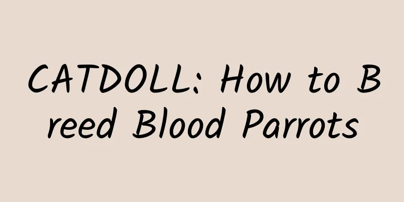 CATDOLL: How to Breed Blood Parrots