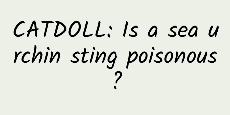 CATDOLL: Is a sea urchin sting poisonous?