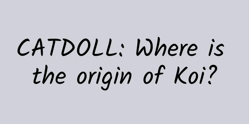CATDOLL: Where is the origin of Koi?