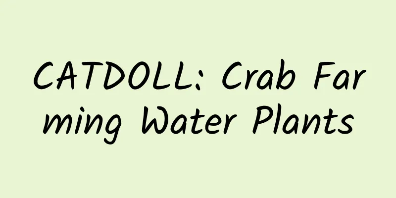 CATDOLL: Crab Farming Water Plants