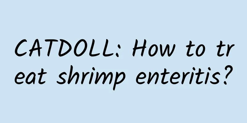 CATDOLL: How to treat shrimp enteritis?