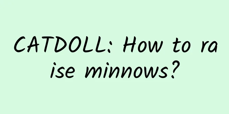 CATDOLL: How to raise minnows?