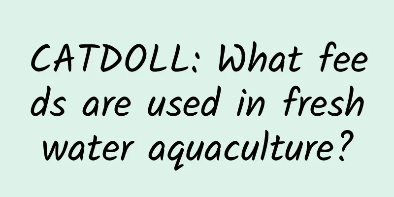 CATDOLL: What feeds are used in freshwater aquaculture?