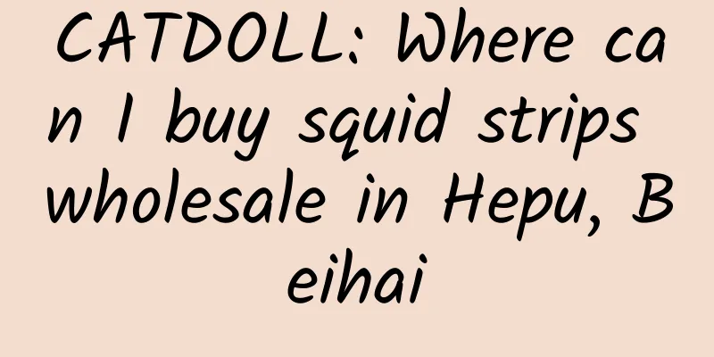 CATDOLL: Where can I buy squid strips wholesale in Hepu, Beihai