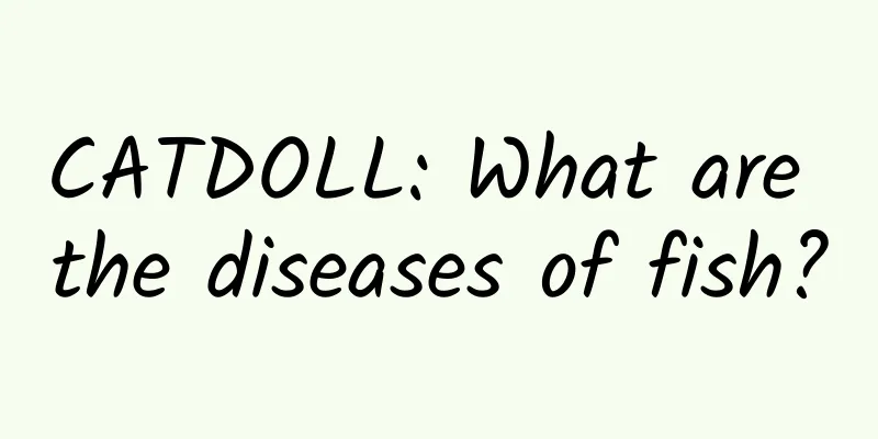 CATDOLL: What are the diseases of fish?