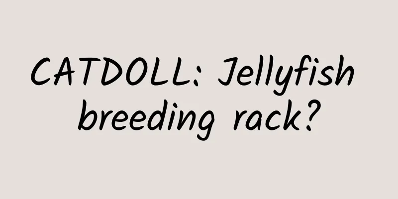 CATDOLL: Jellyfish breeding rack?