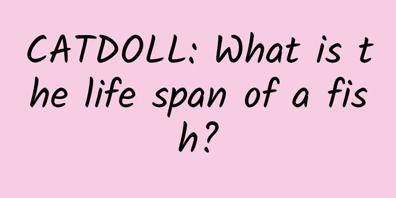 CATDOLL: What is the life span of a fish?