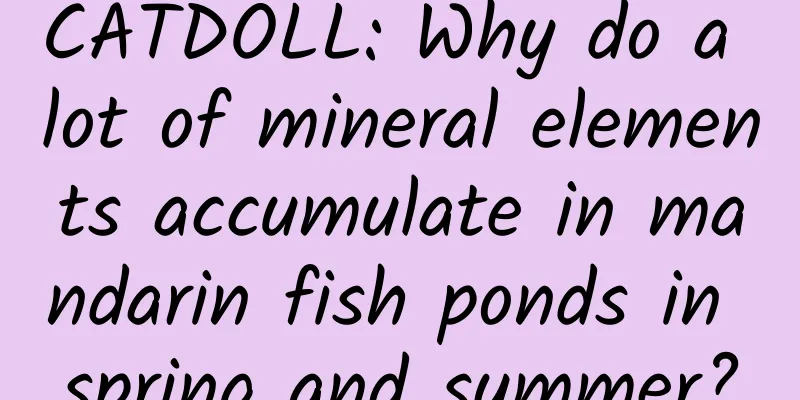 CATDOLL: Why do a lot of mineral elements accumulate in mandarin fish ponds in spring and summer?