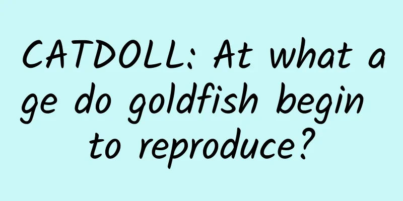 CATDOLL: At what age do goldfish begin to reproduce?