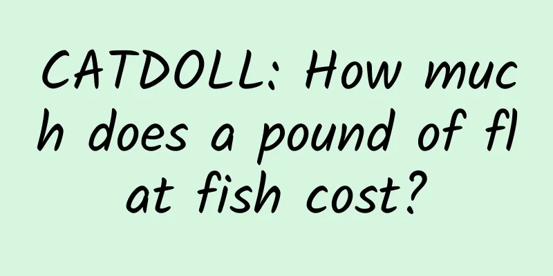 CATDOLL: How much does a pound of flat fish cost?