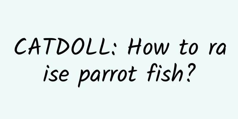 CATDOLL: How to raise parrot fish?