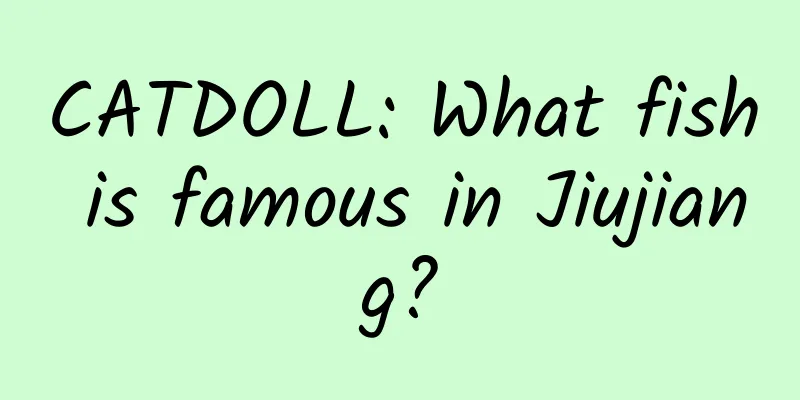 CATDOLL: What fish is famous in Jiujiang?