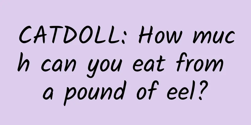 CATDOLL: How much can you eat from a pound of eel?