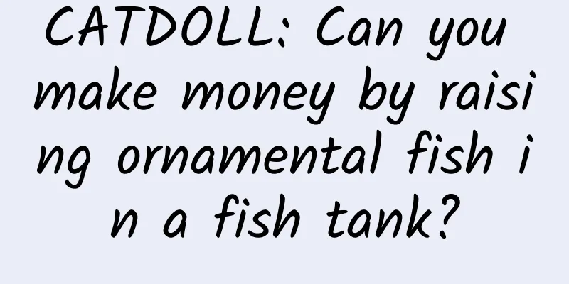 CATDOLL: Can you make money by raising ornamental fish in a fish tank?