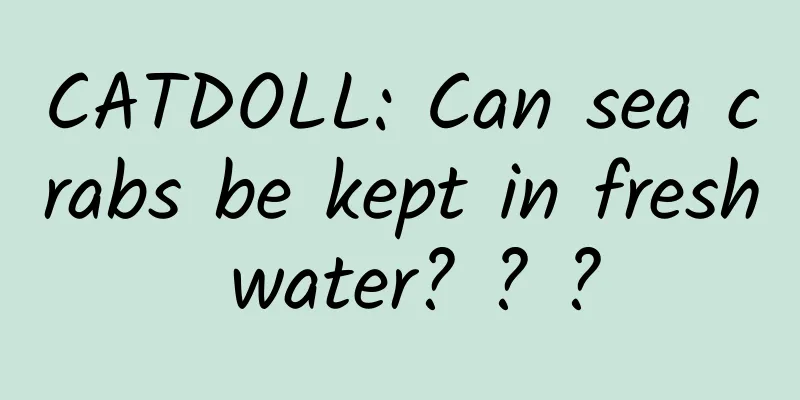 CATDOLL: Can sea crabs be kept in fresh water? ? ?